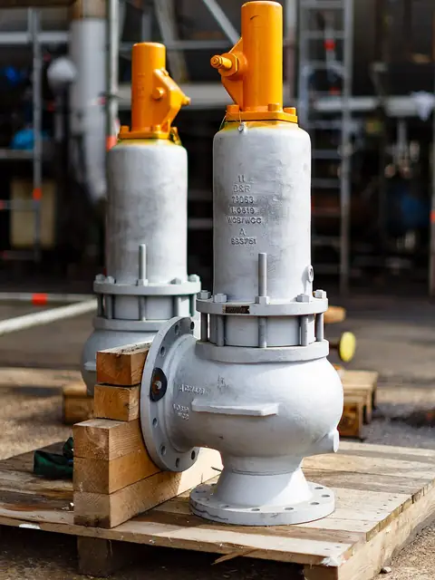 Safety & Pressure Relief Valves for chemical industry