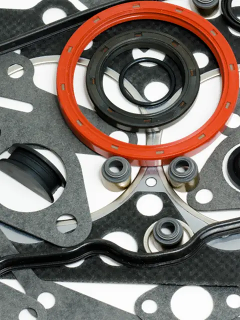 Gaskets & Seals for chemical industry